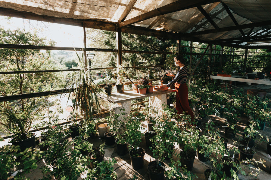 Greenhouses
